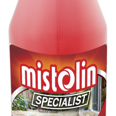 MISTOLIN DESINCRUSTANTE 975ML