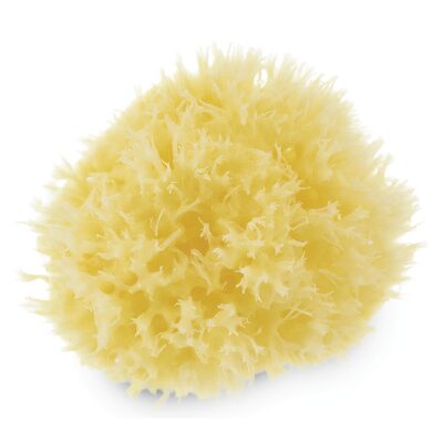 NEOBABY ESPONJA NATURAL MARINHA 0M+